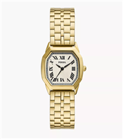 Montre Fossil Femme Harlow in Acier ES5361